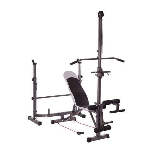 Weight Lifting Bench with Lat Pulldown Pulley & Scott Bench (LHG SR-01)