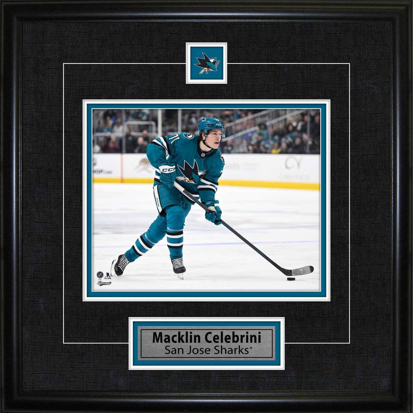 Macklin Celebrini Framed Pin & Plate San Jose Sharks - Jack Righteous