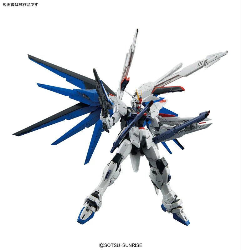 MG 1/100 Freedom Gundam Ver.2.0 - Jack Righteous