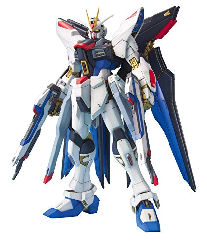 MG 1/100 Strike Freedom Gundam - Jack Righteous