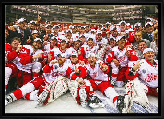 Detroit Red Wings 20x29 Framed Canvas 2008 Stanley Cup