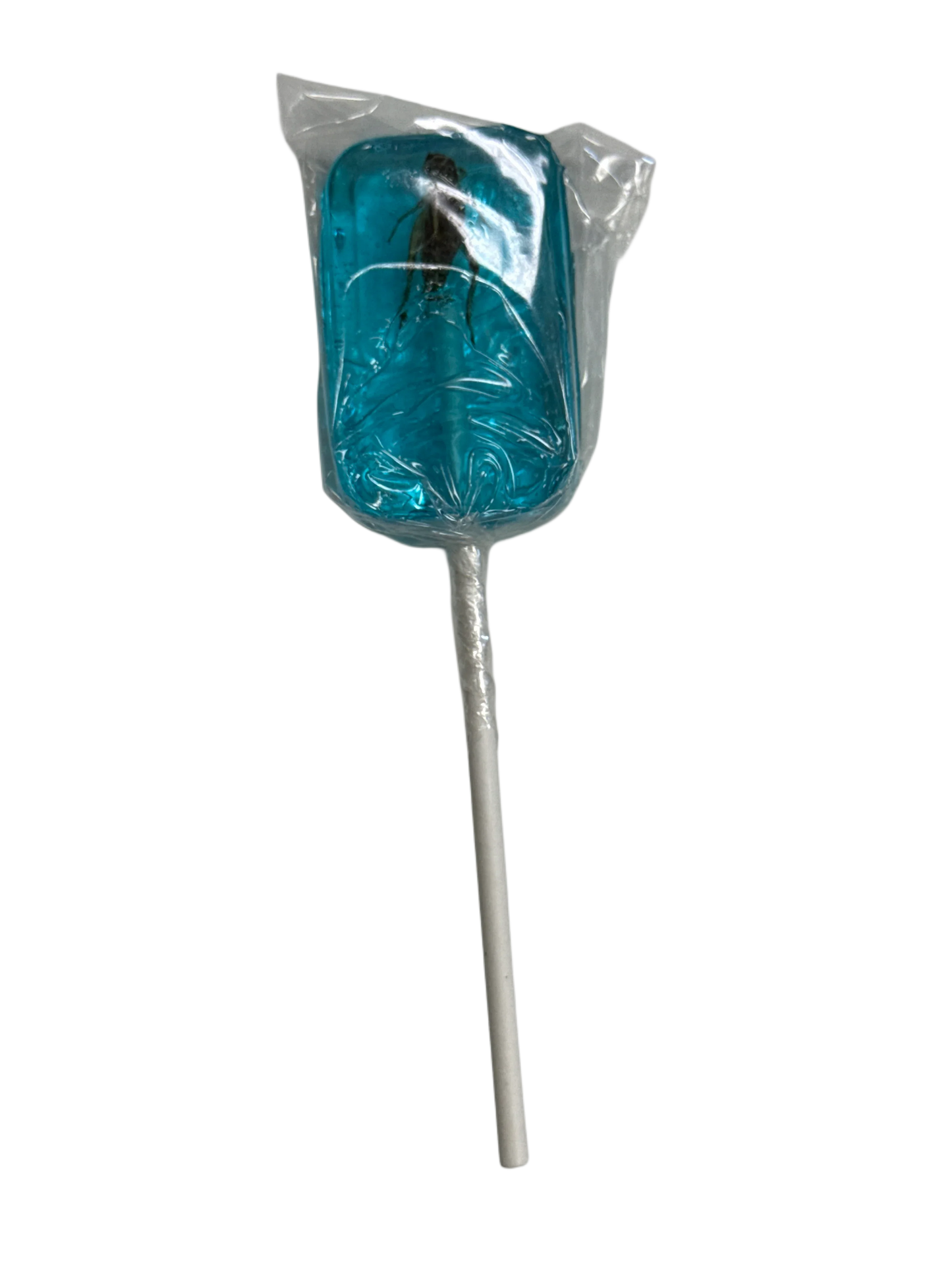 Hotlix Halloween Real Cricket Suckers 31G - U.S Edition