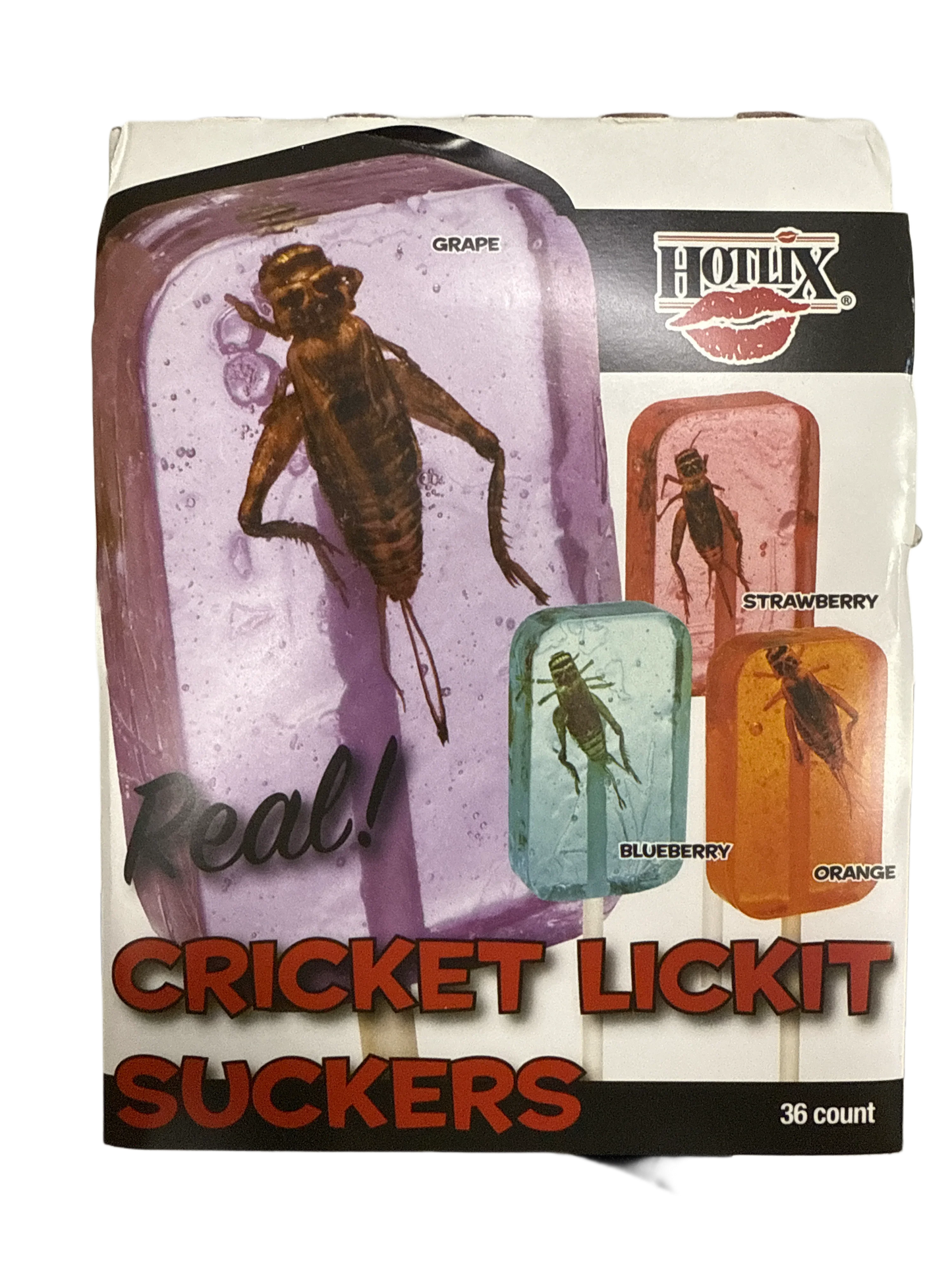 Hotlix Halloween Real Cricket Suckers 31G - U.S Edition