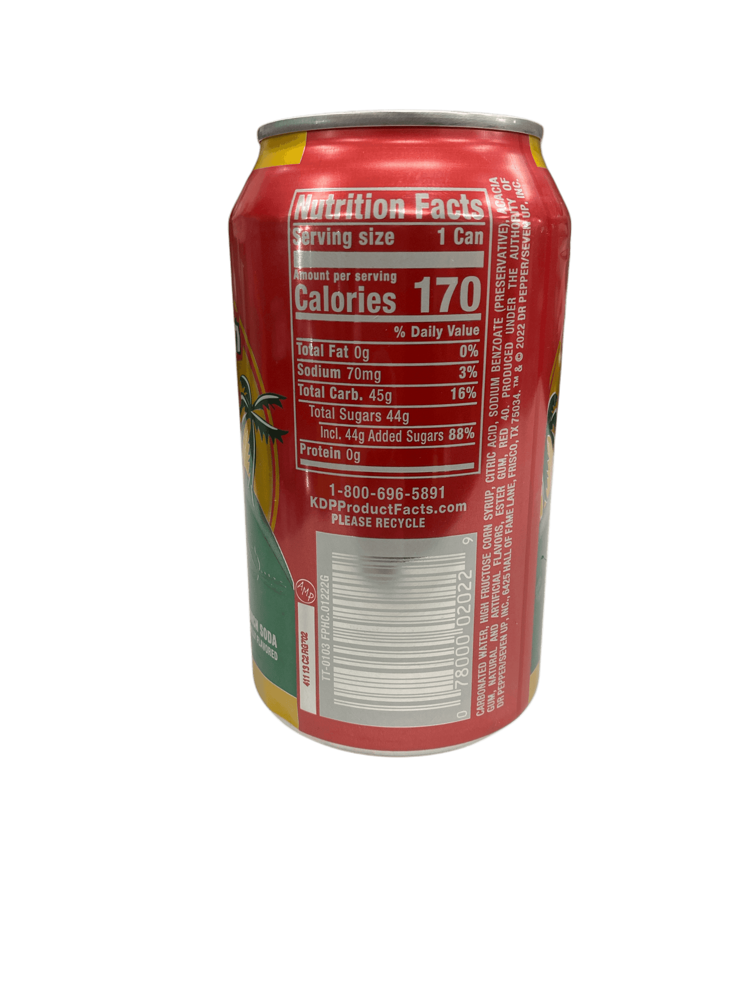Tahitian Treat Fruit Punch Can 355ml - U.S Edition