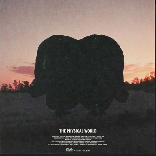 Death From Above 1979 - The Physical World