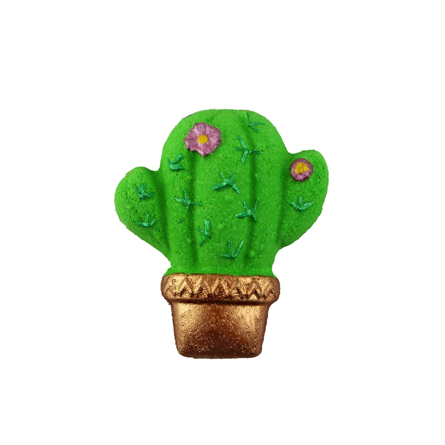 Cactus with Flowers - Jack Righteous