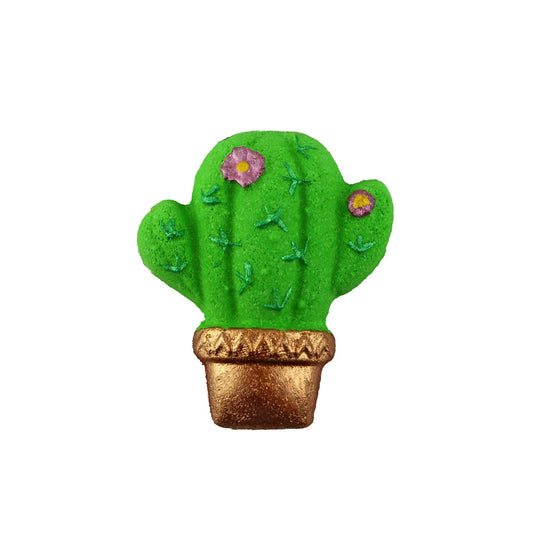Cactus with Flowers - Jack Righteous