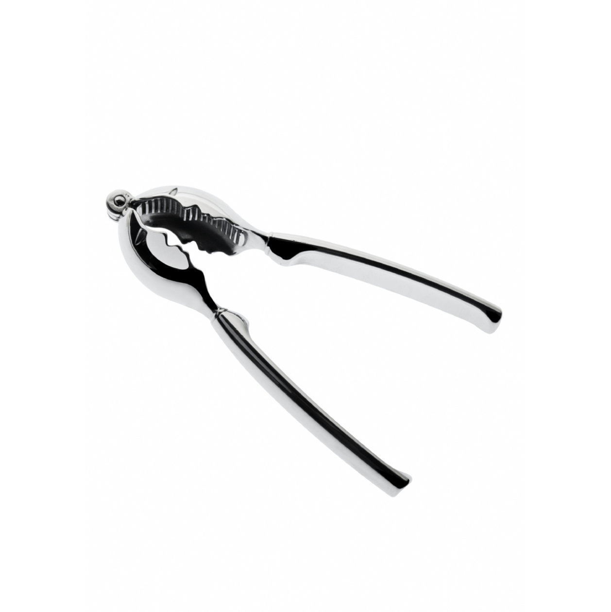 Casse - noix bugatti kiss chrome (43 - 7032CR) - Jack Righteous