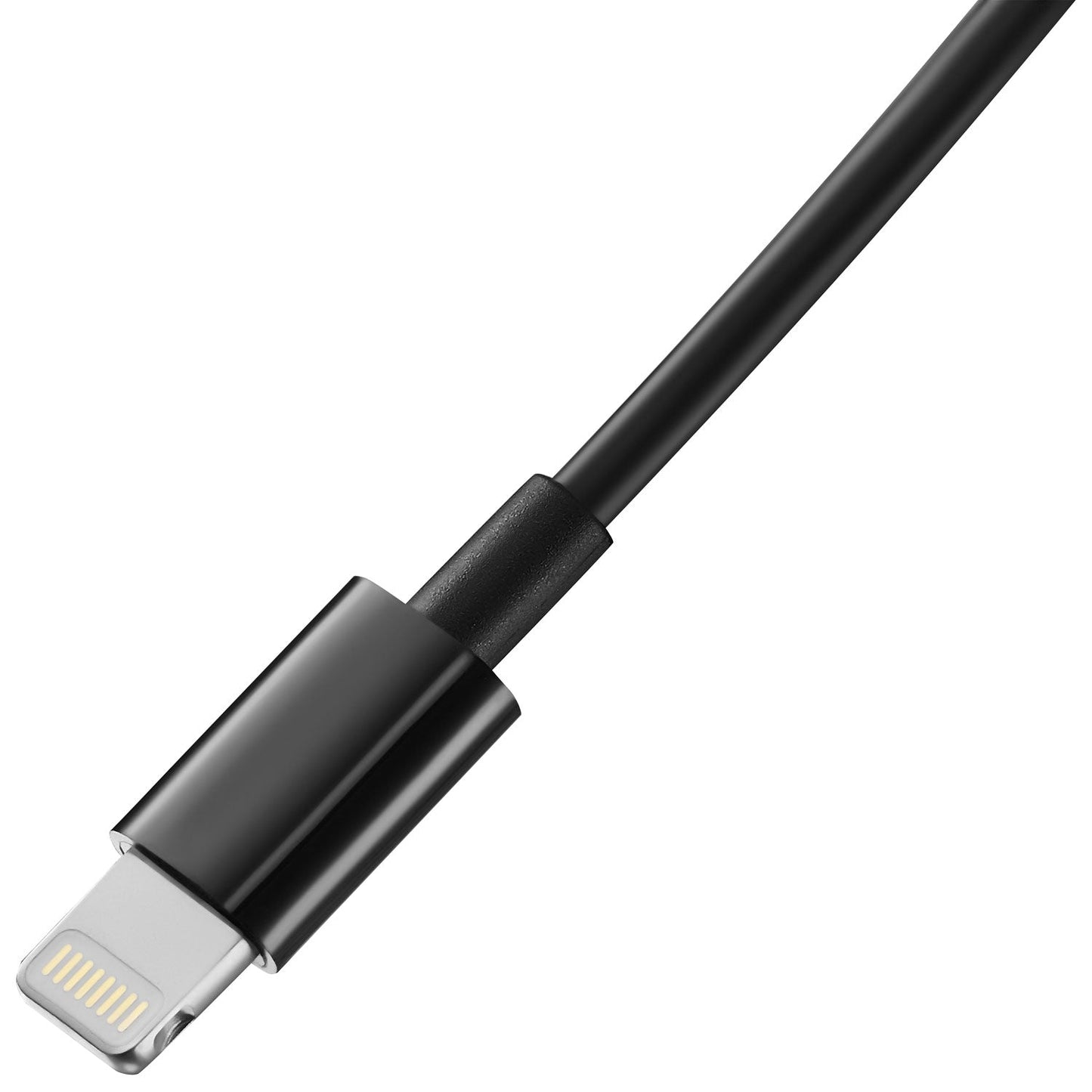 Émetteur FM d'Insignia avec connecteur Lightning - Jack Righteous