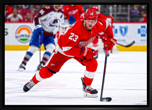 Lucas Raymond 20x29 Framed Canvas Detroit Red Wings - Jack Righteous