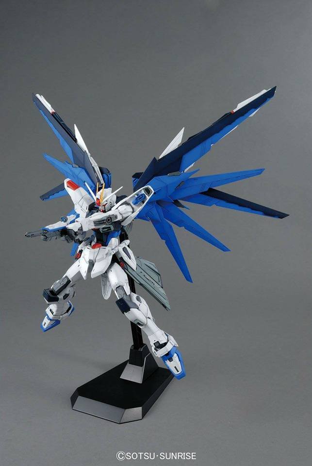 MG 1/100 Freedom Gundam Ver.2.0 - Jack Righteous