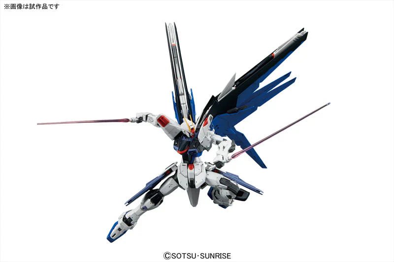 MG 1/100 Freedom Gundam Ver.2.0 - Jack Righteous