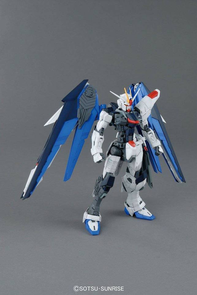 MG 1/100 Freedom Gundam Ver.2.0 - Jack Righteous