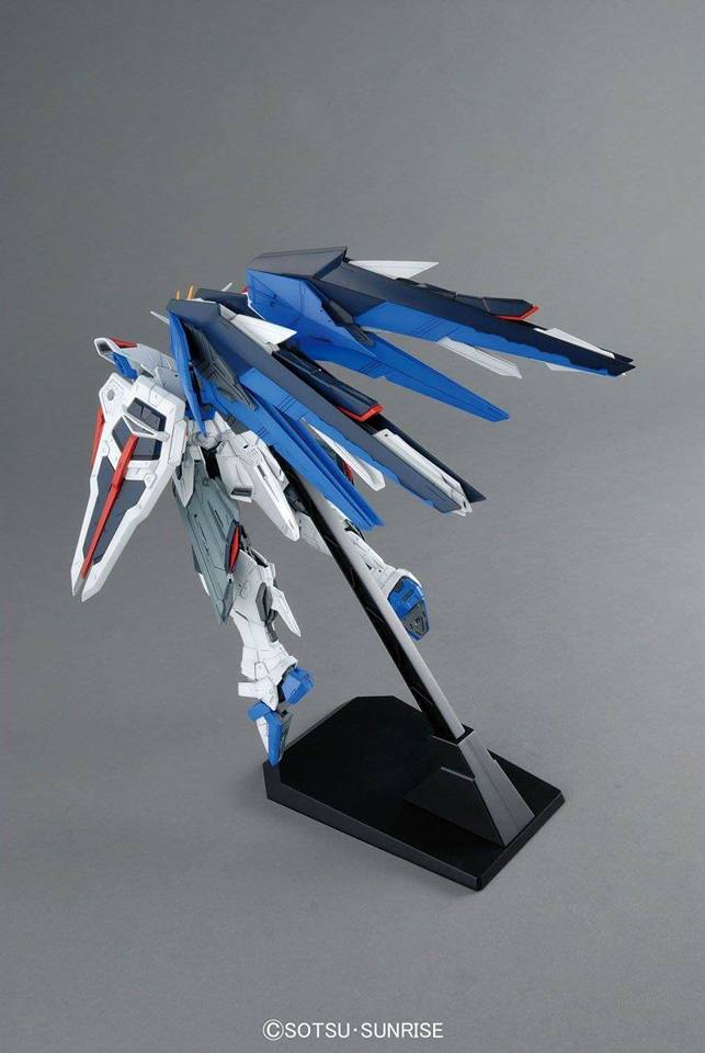 MG 1/100 Freedom Gundam Ver.2.0 - Jack Righteous