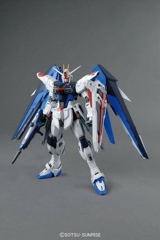 MG 1/100 Freedom Gundam Ver.2.0 - Jack Righteous