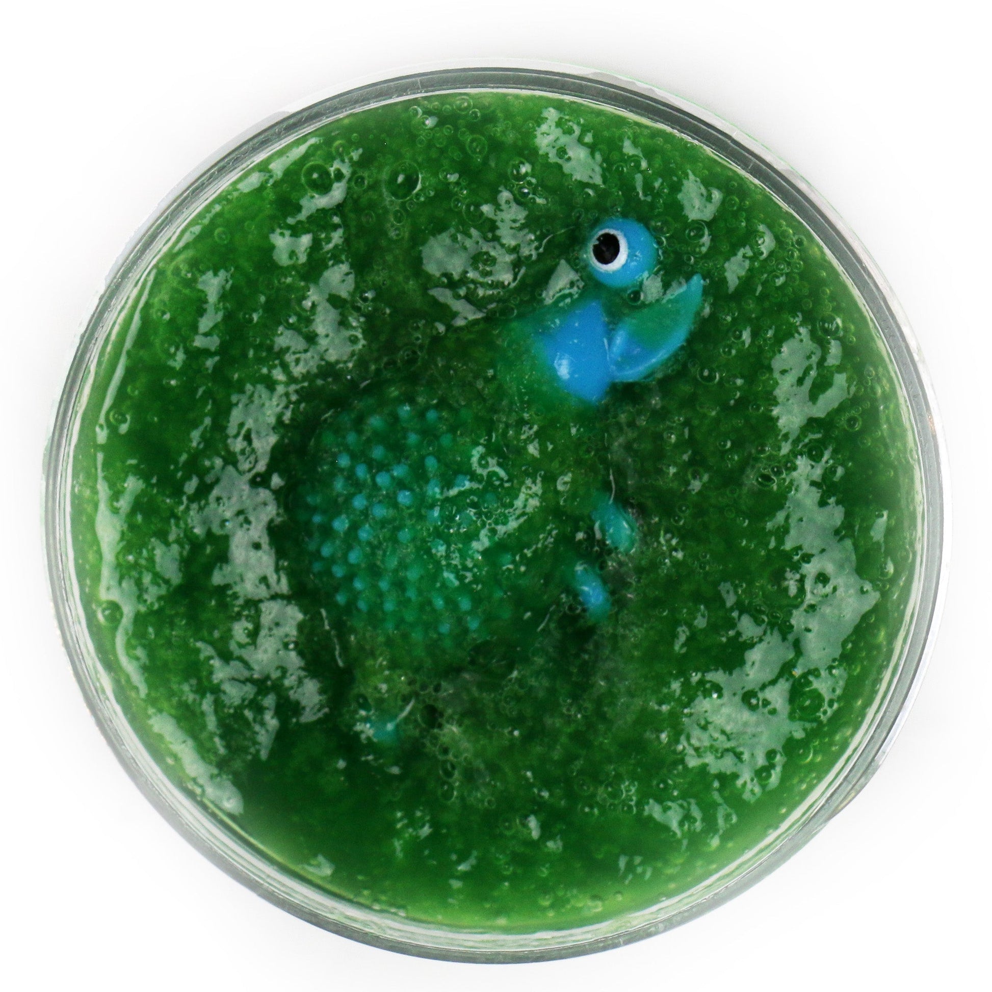 Monster Slime - Jack Righteous