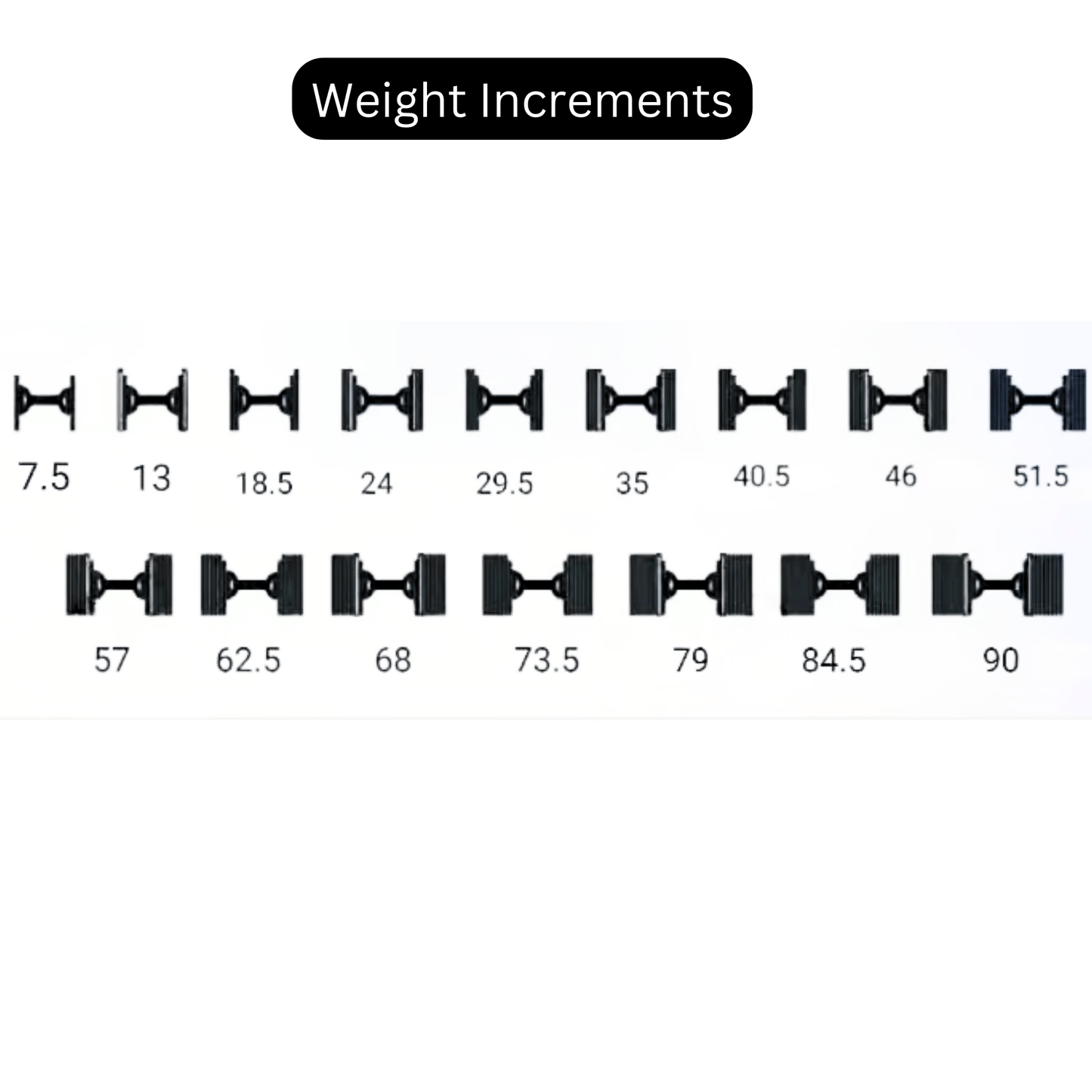 NUO Style Adjustable Dumbbell - Jack Righteous