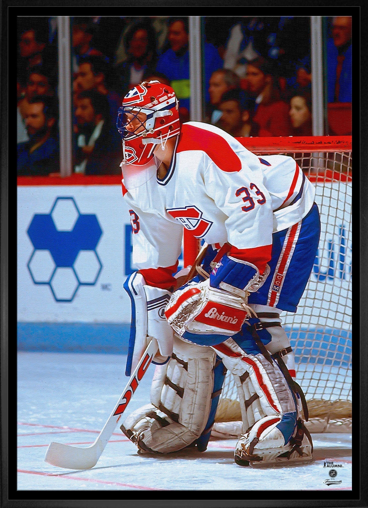 Patrick Roy 20x29 Framed Canvas Canadiens Action - V - Jack Righteous