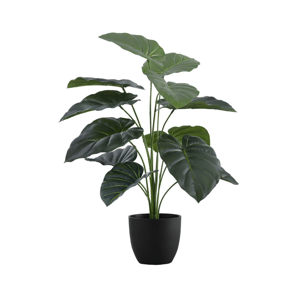Plante artificielle - Alocasia Intérieur Pot 5'', 24''H - Monarch (I 9578) - Jack Righteous
