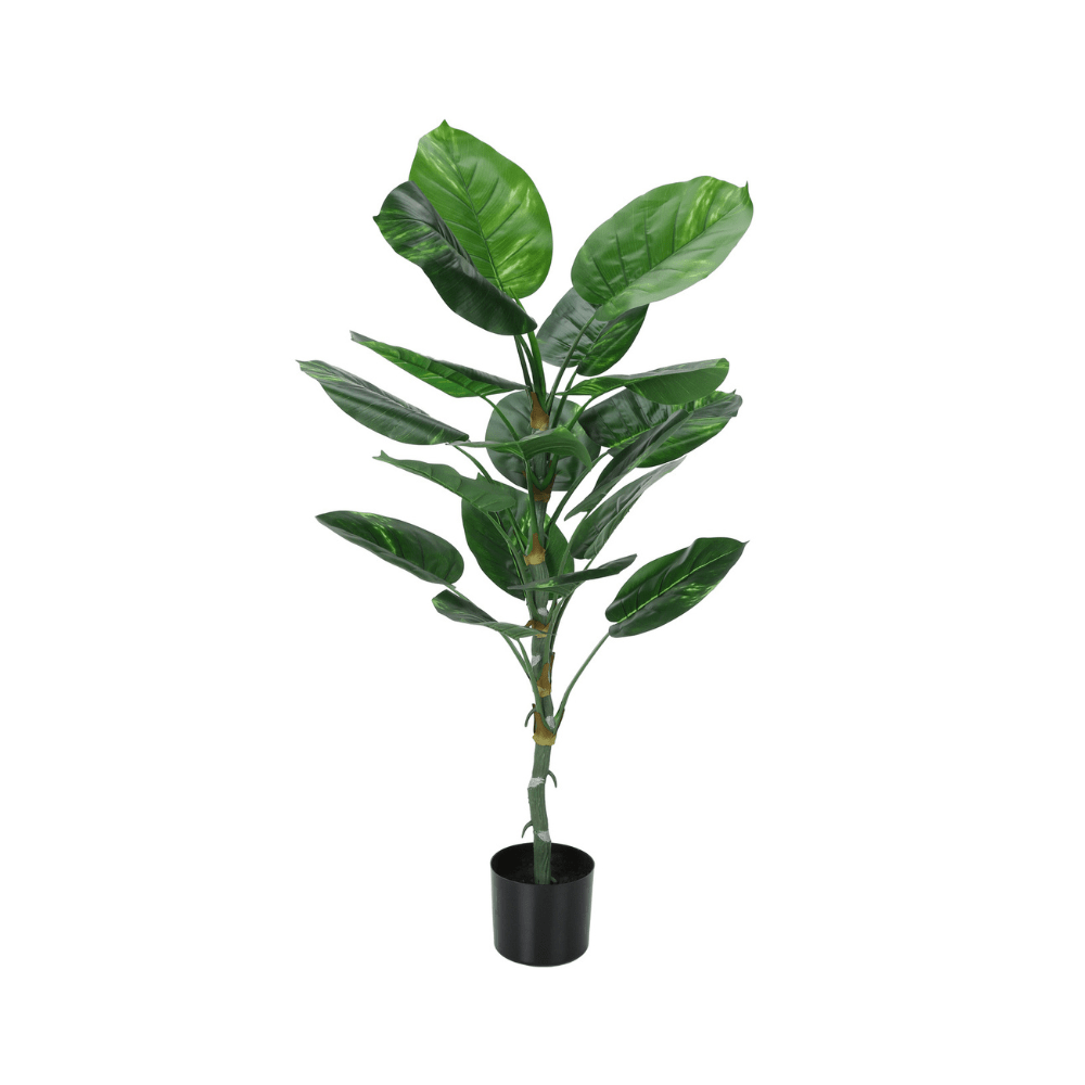 Plante artificielle - Dieffenbachia Intérieur Pot 5'', 54''H - Monarch (I 9519) - Jack Righteous