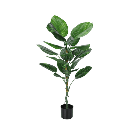 Plante artificielle - Dieffenbachia Intérieur Pot 5'', 54''H - Monarch (I 9519) - Jack Righteous