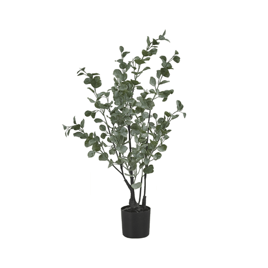 Plante artificielle - eucalyptus intérieur pot 5", 35"H - Monarch (I 9562) - Jack Righteous