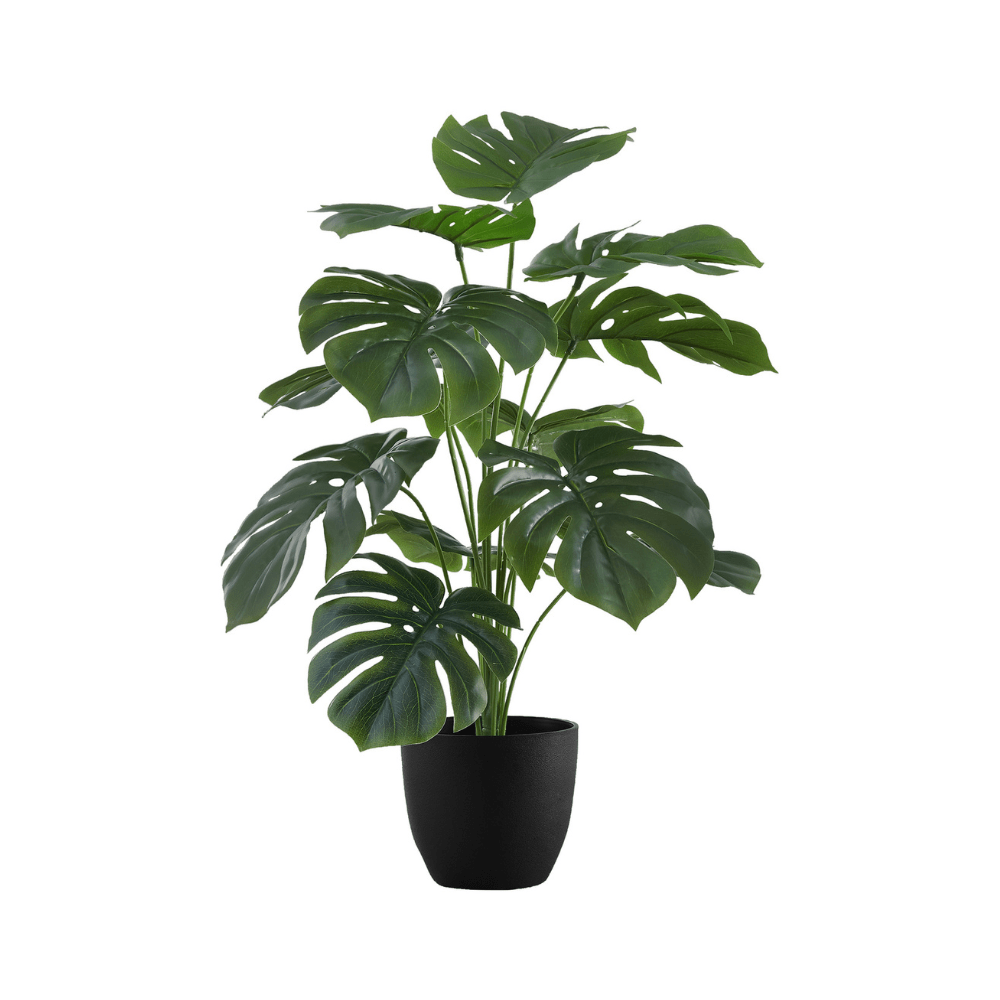 Plante artificielle - Monstera Intérieur Pot 5'', 24''H - Monarch (I 9576) - Jack Righteous