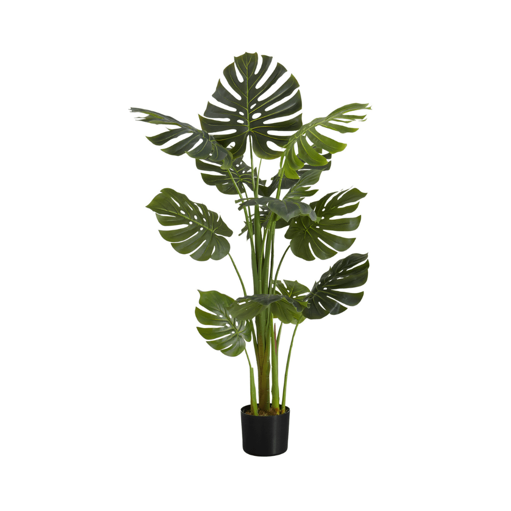 Plante artificielle - monstera intérieur pot 6", 55"H - Monarch (I 9548) - Jack Righteous