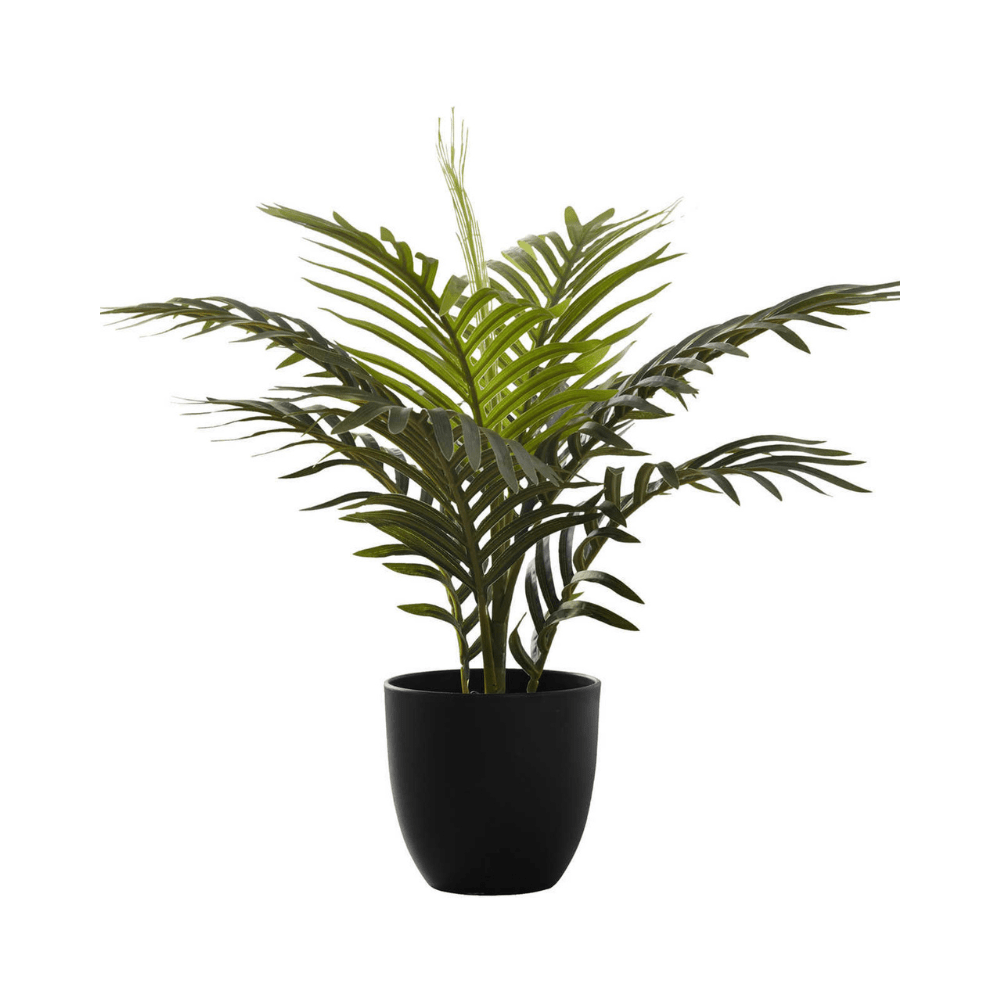 Plante artificielle - Palmier Intérieur Pot 5'', 20''H - Monarch (I 9501) - Jack Righteous