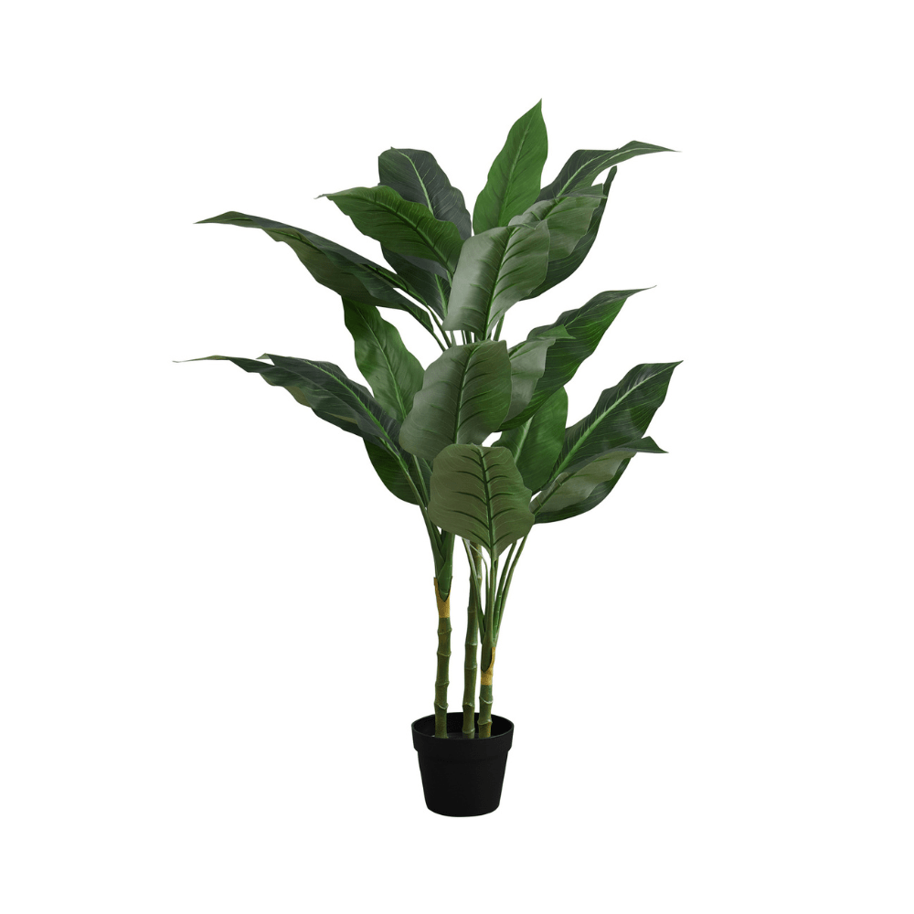 Plantes artificielle - Evergreen Intérieur Pot 5'', 42''H - Monarch (I 9512) - Jack Righteous