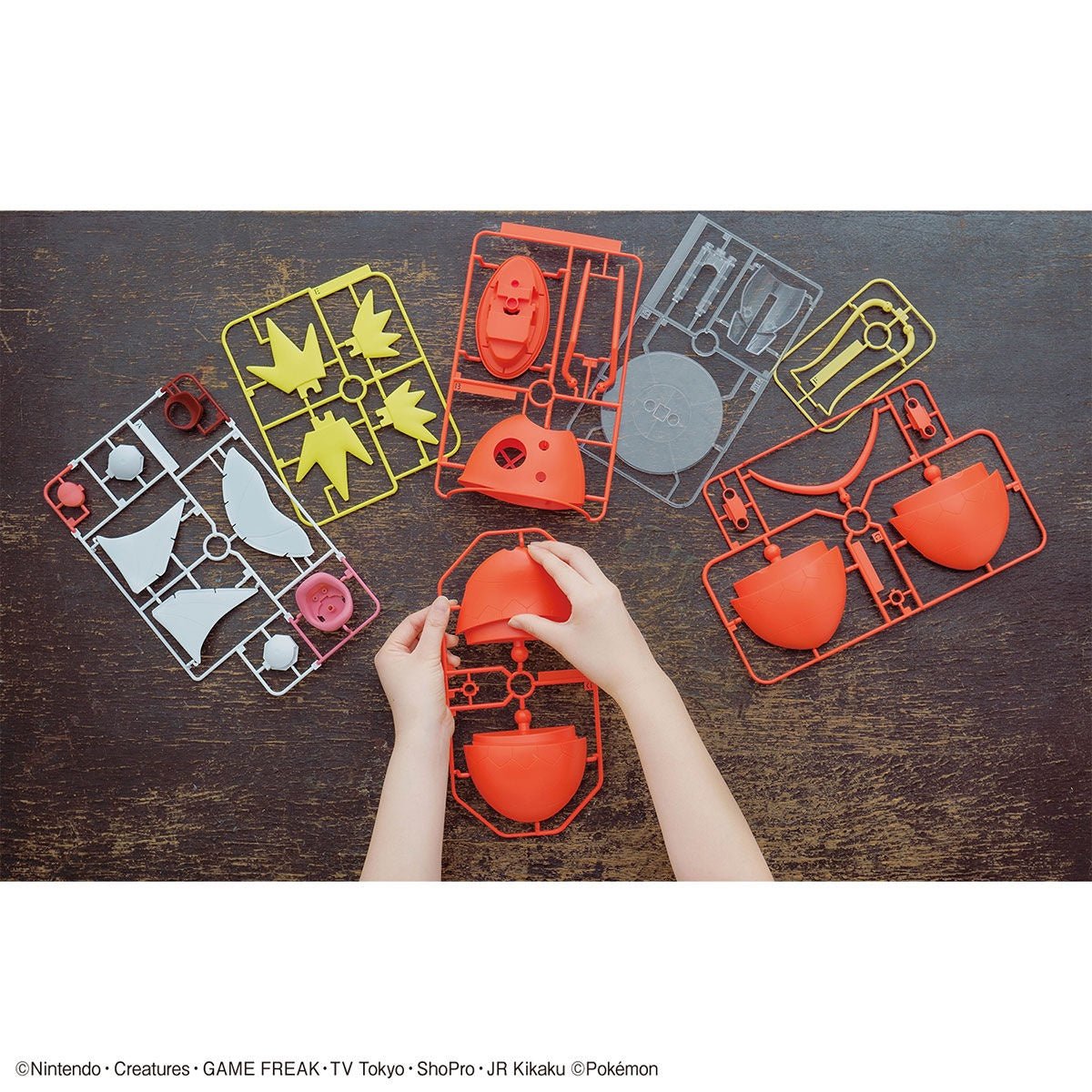 Pokémon BIG Model Kit Magikarp - Jack Righteous