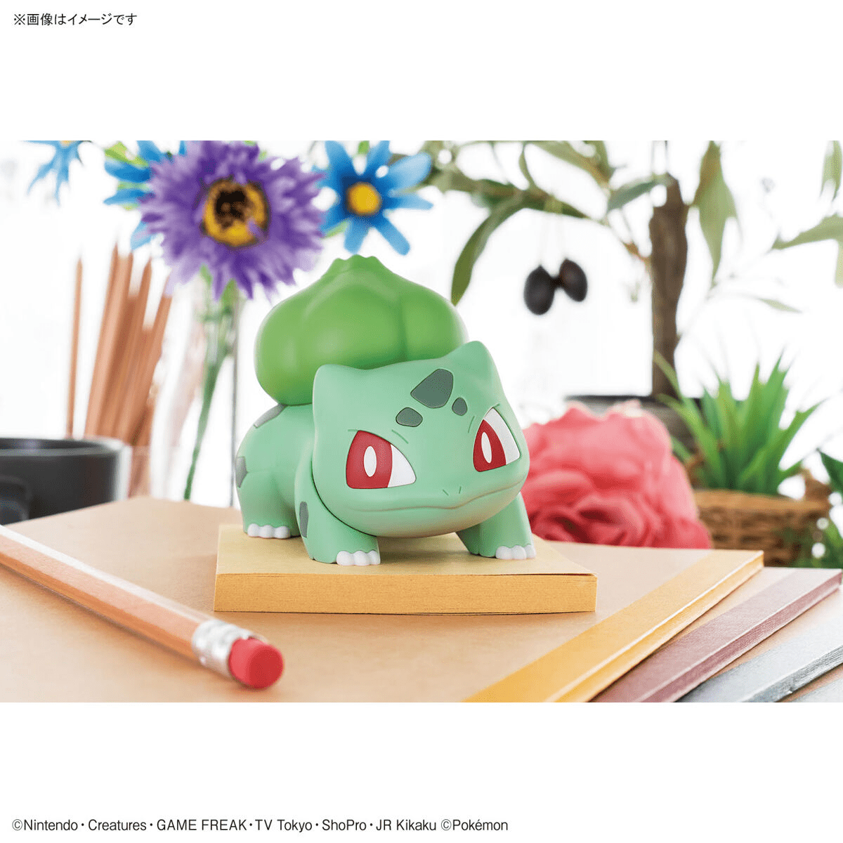Pokémon Model Kit Bulbasaur - Jack Righteous