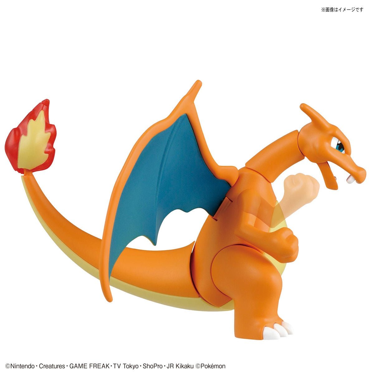 Pokémon Model Kit Charizard & Dragonite - Jack Righteous