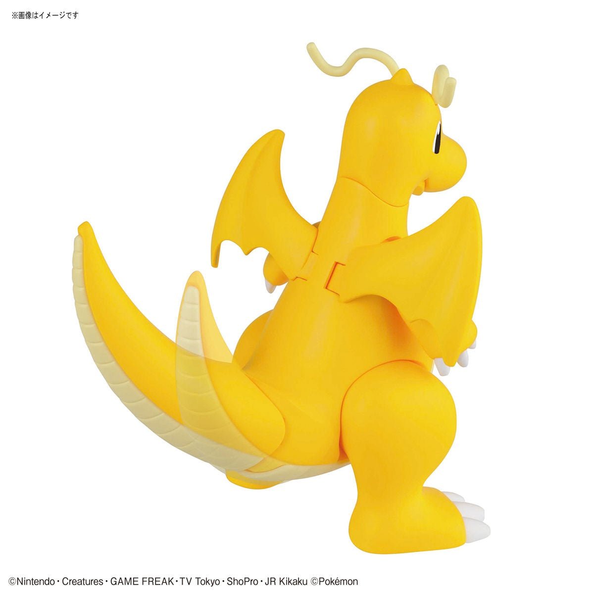 Pokémon Model Kit Charizard & Dragonite - Jack Righteous