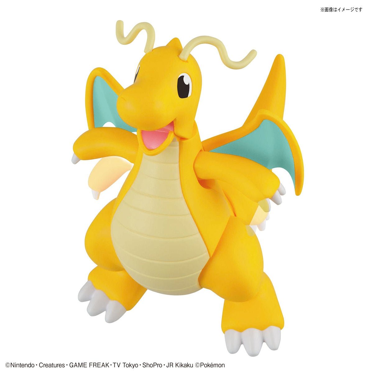 Pokémon Model Kit Charizard & Dragonite - Jack Righteous