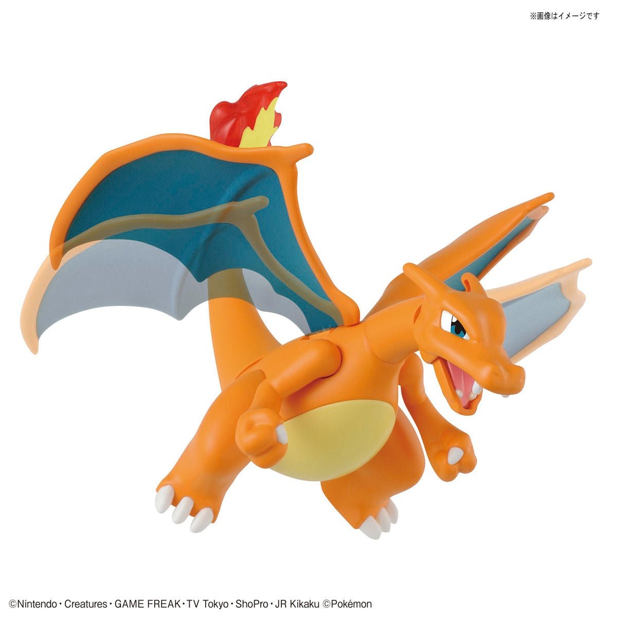 Pokémon Model Kit Charizard & Dragonite - Jack Righteous