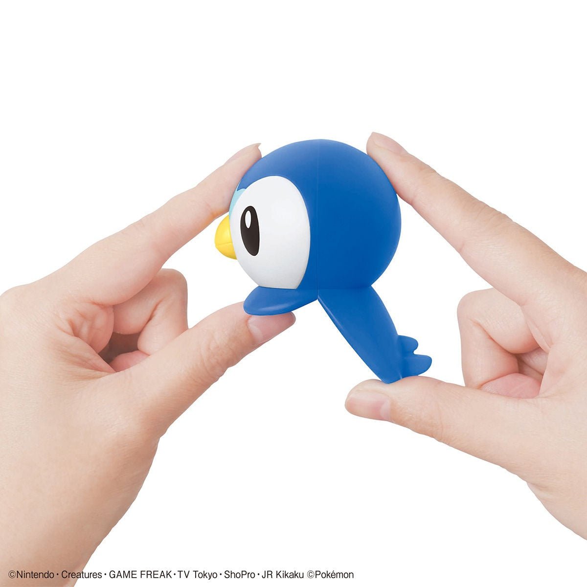 Pokémon Model Kit Piplup - Jack Righteous