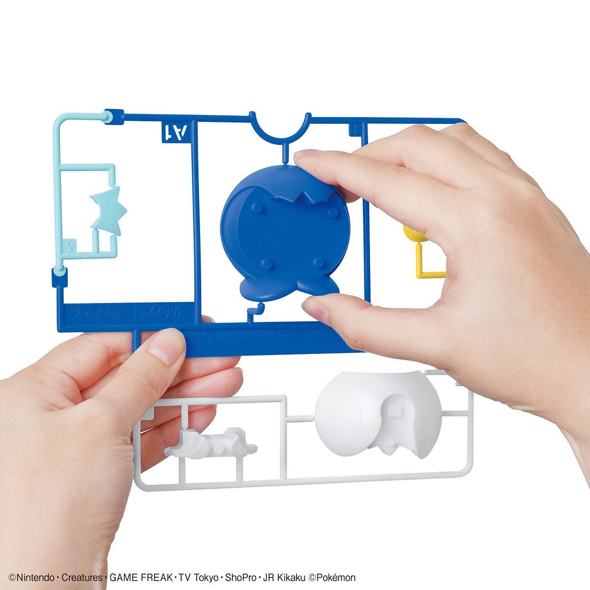 Pokémon Model Kit Piplup - Jack Righteous