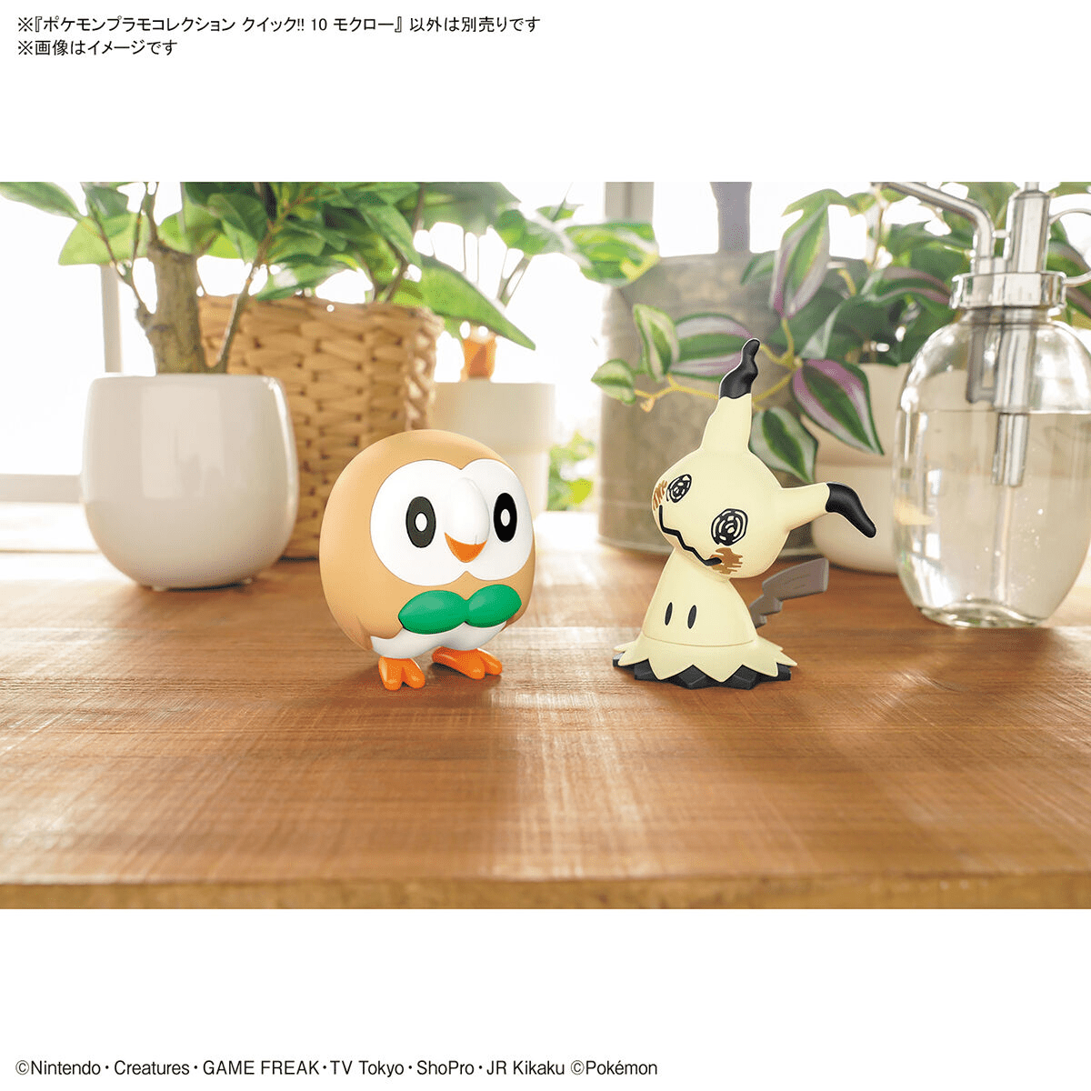 Pokémon Model Kit Rowlet - Jack Righteous