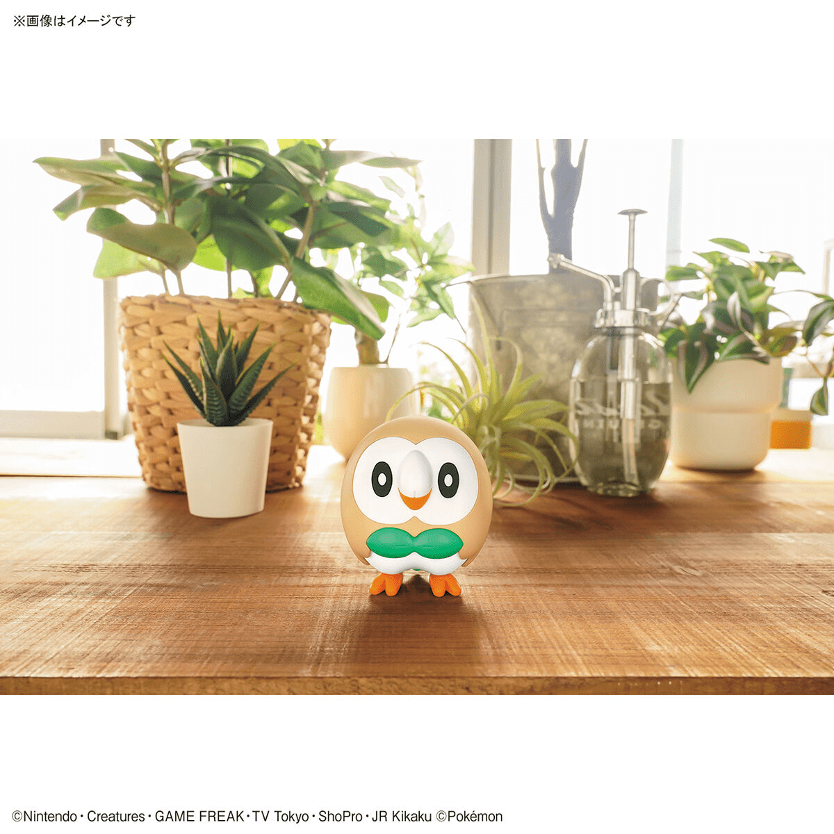 Pokémon Model Kit Rowlet - Jack Righteous