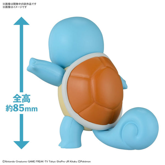 Pokémon Model Kit Squirtle - Jack Righteous