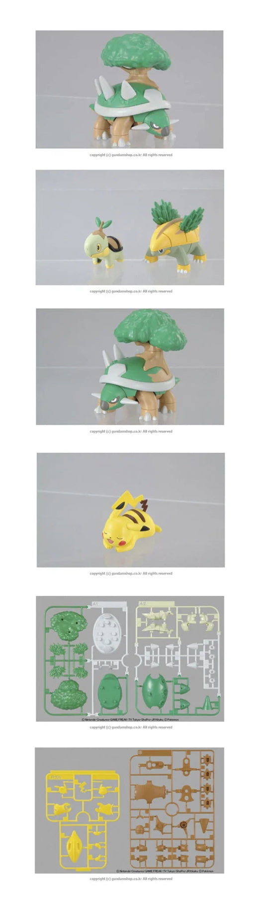 Pokémon Model Kit Torterra Evolution Set - Jack Righteous