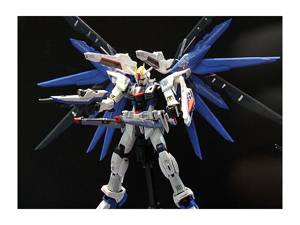 RG 1/144 Freedom Gundam - Jack Righteous
