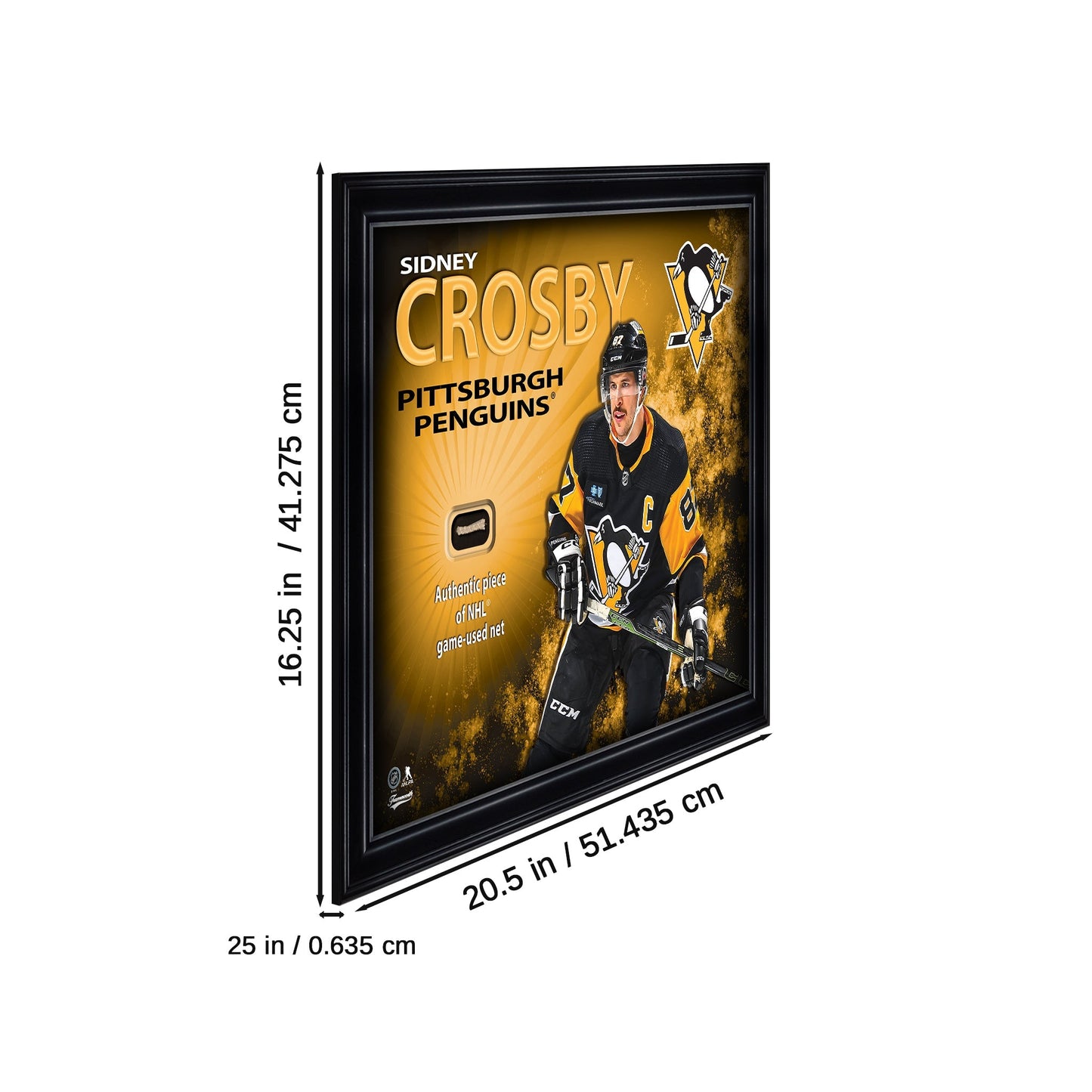 Sidney Crosby 16x20 Photo Frame with Game - Used Net - Pittsburgh Penguins - Jack Righteous