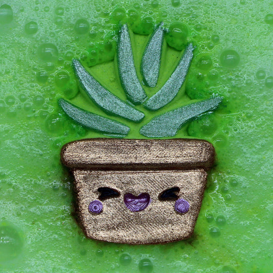 Succulent Plant - Jack Righteous