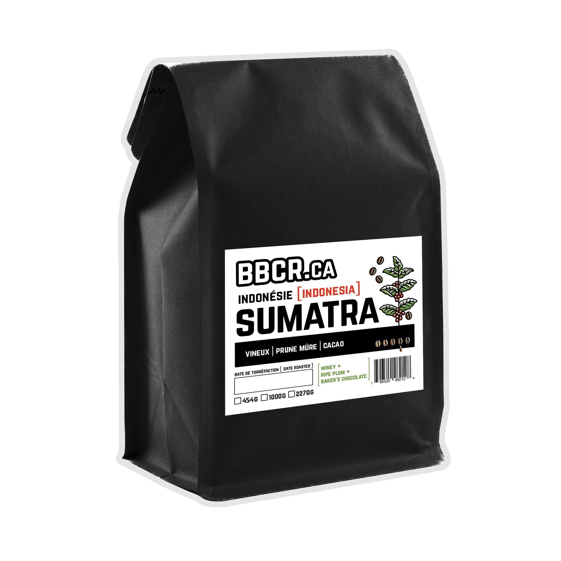 Sumatra (Indonésie) - origine unique - Jack Righteous