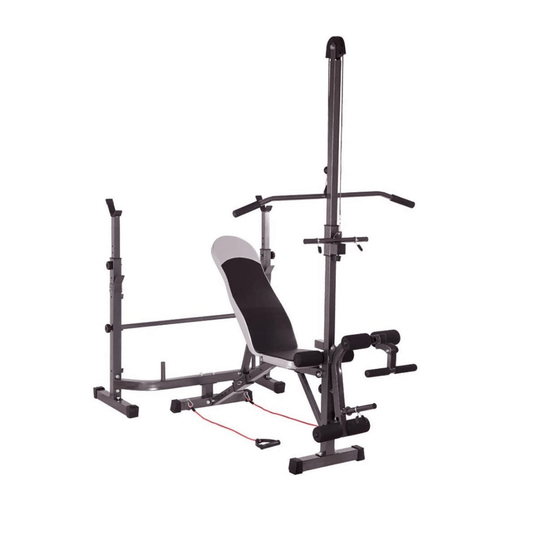 Weight Lifting Bench with Lat Pulldown Pulley &amp; Scott Bench (LHG SR - 01) - Jack Righteous